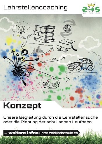 ZKS Privatschule Luzern Lehrstellencoaching Konzept
